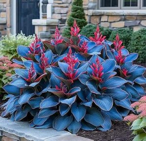 Хоста Грин Фог купить по цене от 669р. в интернет-магазине «Посадика» с доставкой почтой в в Мелеузе и по всей России – [изображение №1].