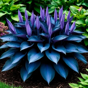 Хоста Сикрет Гров купить по цене от 570р. в интернет-магазине «Посадика» с доставкой почтой в в Мелеузе и по всей России – [изображение №1].