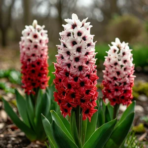 Гиацинт Скай Гарден купить по цене от 2099р. в интернет-магазине «Посадика» с доставкой почтой в в Мелеузе и по всей России – [изображение №1].